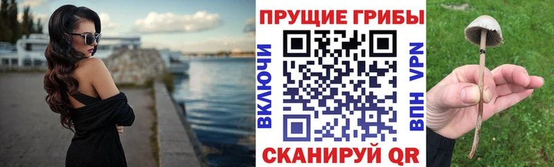Псилоцибиновые грибы MAGIC MUSHROOMS Сокол